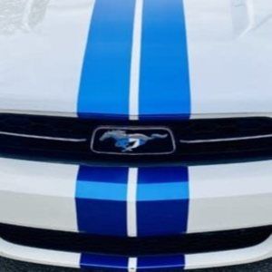 Meet your Posher, Mihaela